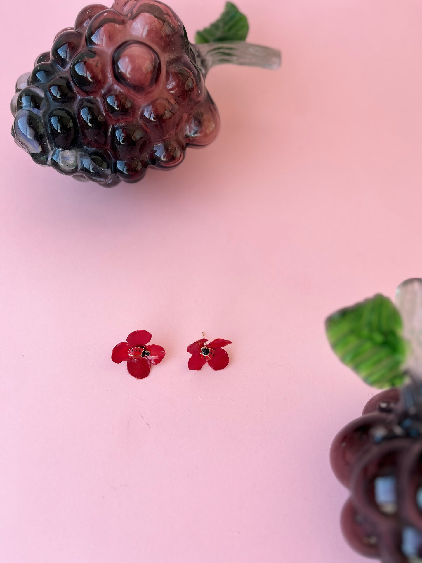 Lady Bug Rojo