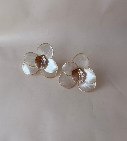 Orquídea Mar Ivory