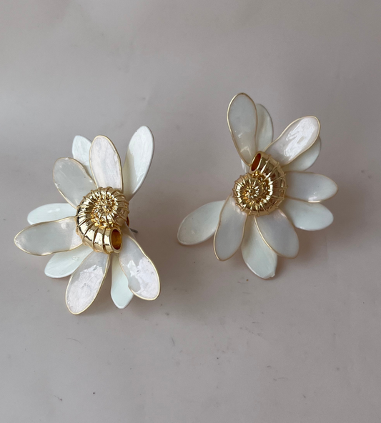 Half Daisy Caracol