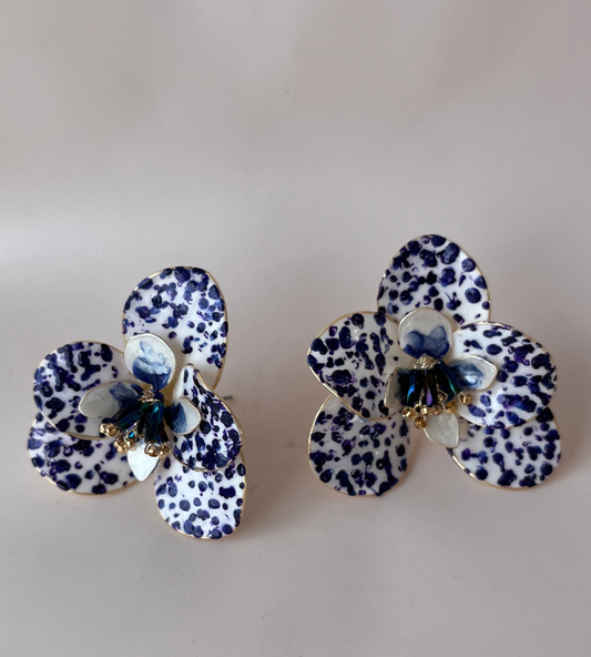 Orquídea Mar Azul