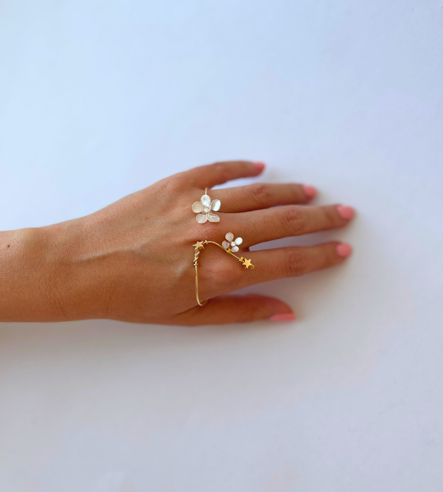 Abrazadera & anillo